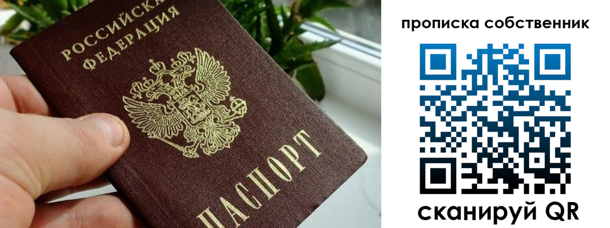 найти адрес прописки в Новоалтайске